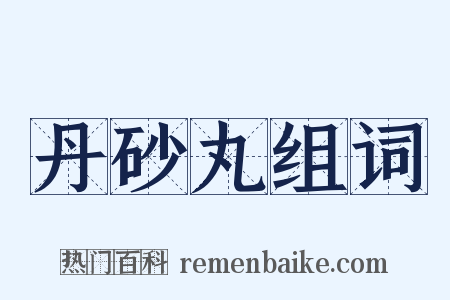 丹砂丸组词是什么意思的图片
